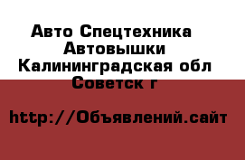 Авто Спецтехника - Автовышки. Калининградская обл.,Советск г.